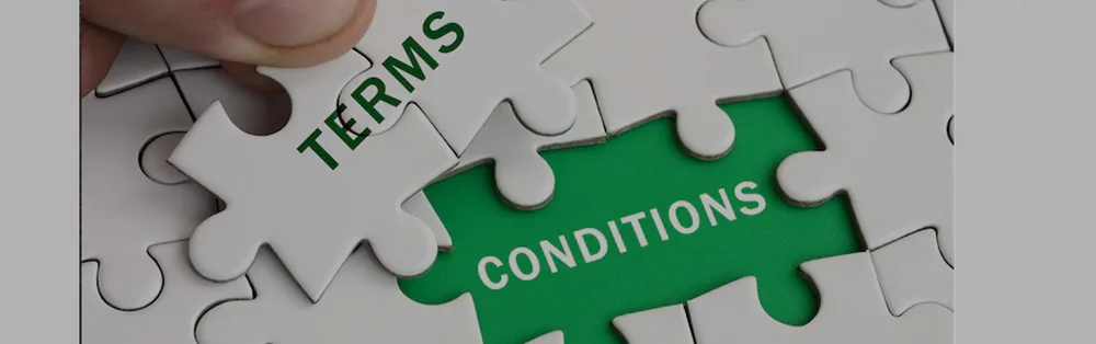 terms and conditions banner